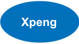 Duplicazione Chiavi Auto Xpeng